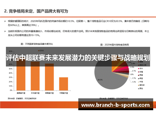 评估中超联赛未来发展潜力的关键步骤与战略规划 评估中超联赛未来发展潜力的关键步骤与战略规划