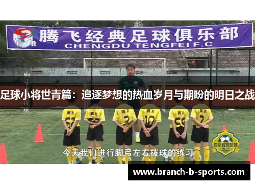 足球小将世青篇：追逐梦想的热血岁月与期盼的明日之战