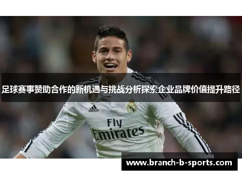 足球赛事赞助合作的新机遇与挑战分析探索企业品牌价值提升路径