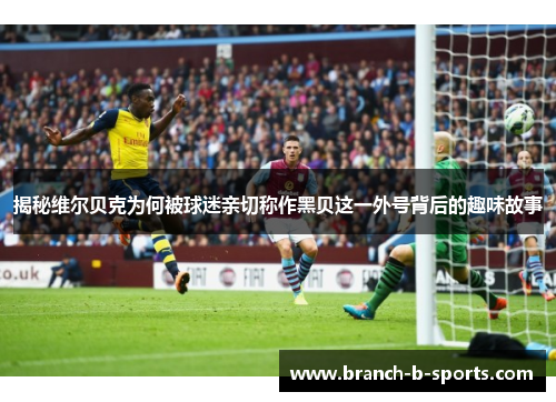 揭秘维尔贝克为何被球迷亲切称作黑贝这一外号背后的趣味故事 揭秘维尔贝克为何被球迷亲切称作黑贝这一外号背后的趣味故事