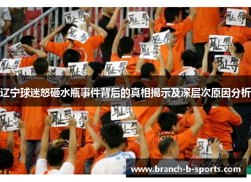 辽宁球迷怒砸水瓶事件背后的真相揭示及深层次原因分析