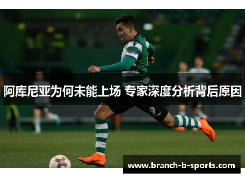 阿库尼亚为何未能上场 专家深度分析背后原因