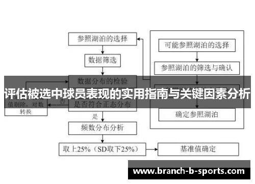 评估被选中球员表现的实用指南与关键因素分析