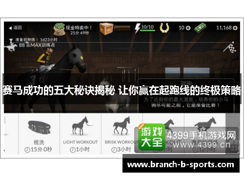 赛马成功的五大秘诀揭秘 让你赢在起跑线的终极策略