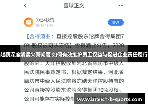 赵鹏深度解读欠薪问题 如何有效维护员工权益与促进企业责任履行