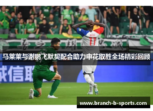 马莱莱与谢鹏飞默契配合助力申花取胜全场精彩回顾