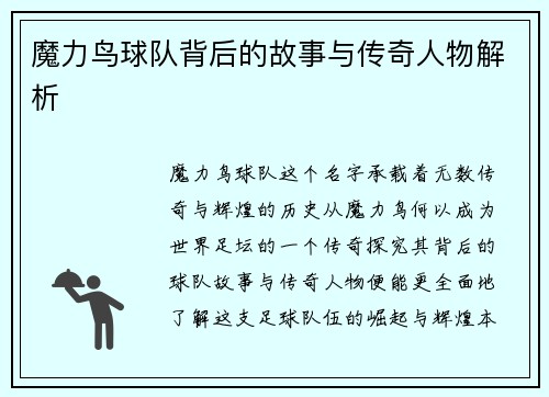 魔力鸟球队背后的故事与传奇人物解析